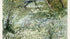 River Bank in Springtime - van Gogh