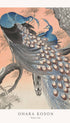Two Peacocks on Tree Branch - Ohara Koson