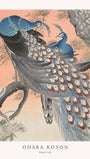 Two Peacocks on Tree Branch - Ohara Koson