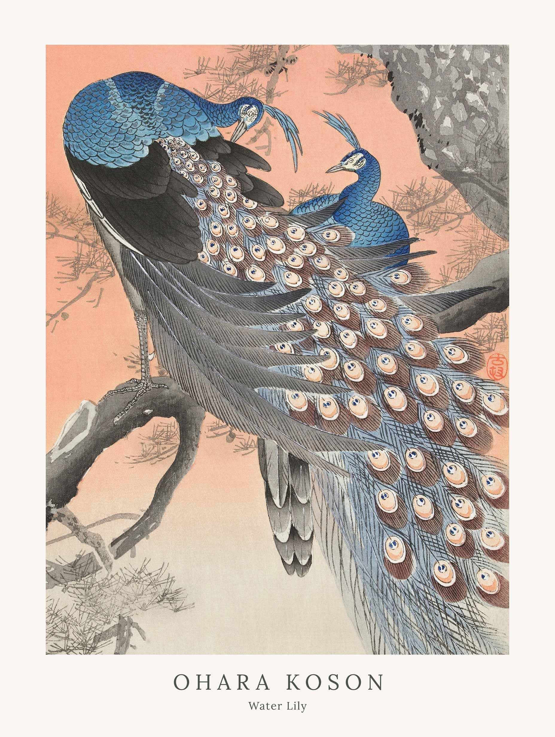 Two Peacocks on Tree Branch - Ohara Koson