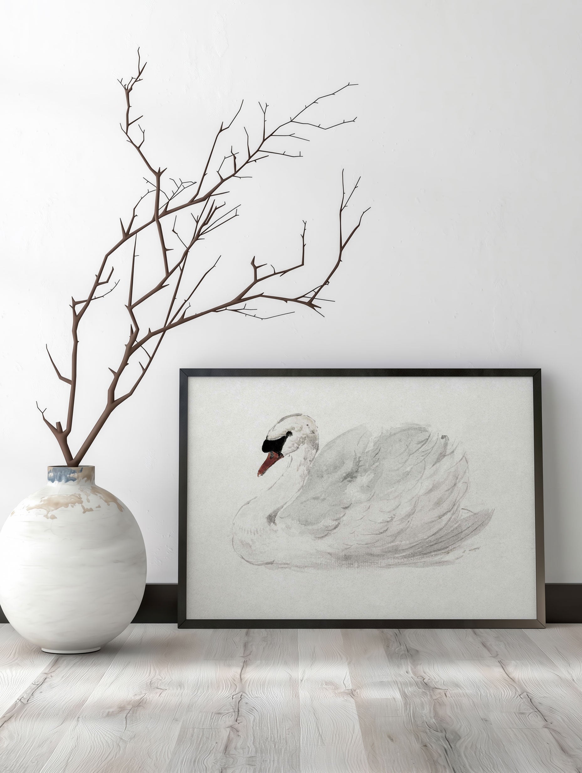 Mute Swan - Aert Schouman Art Mockup