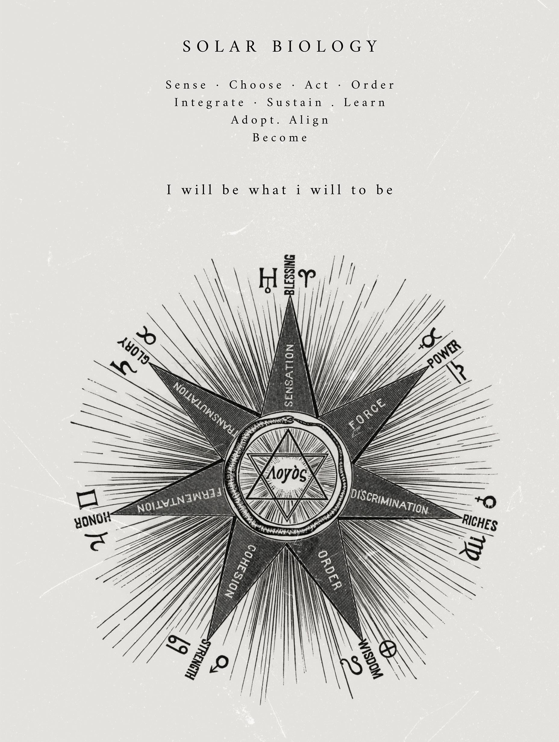Solar Biology Diagram No I Hiram Erastus Butler Art Print