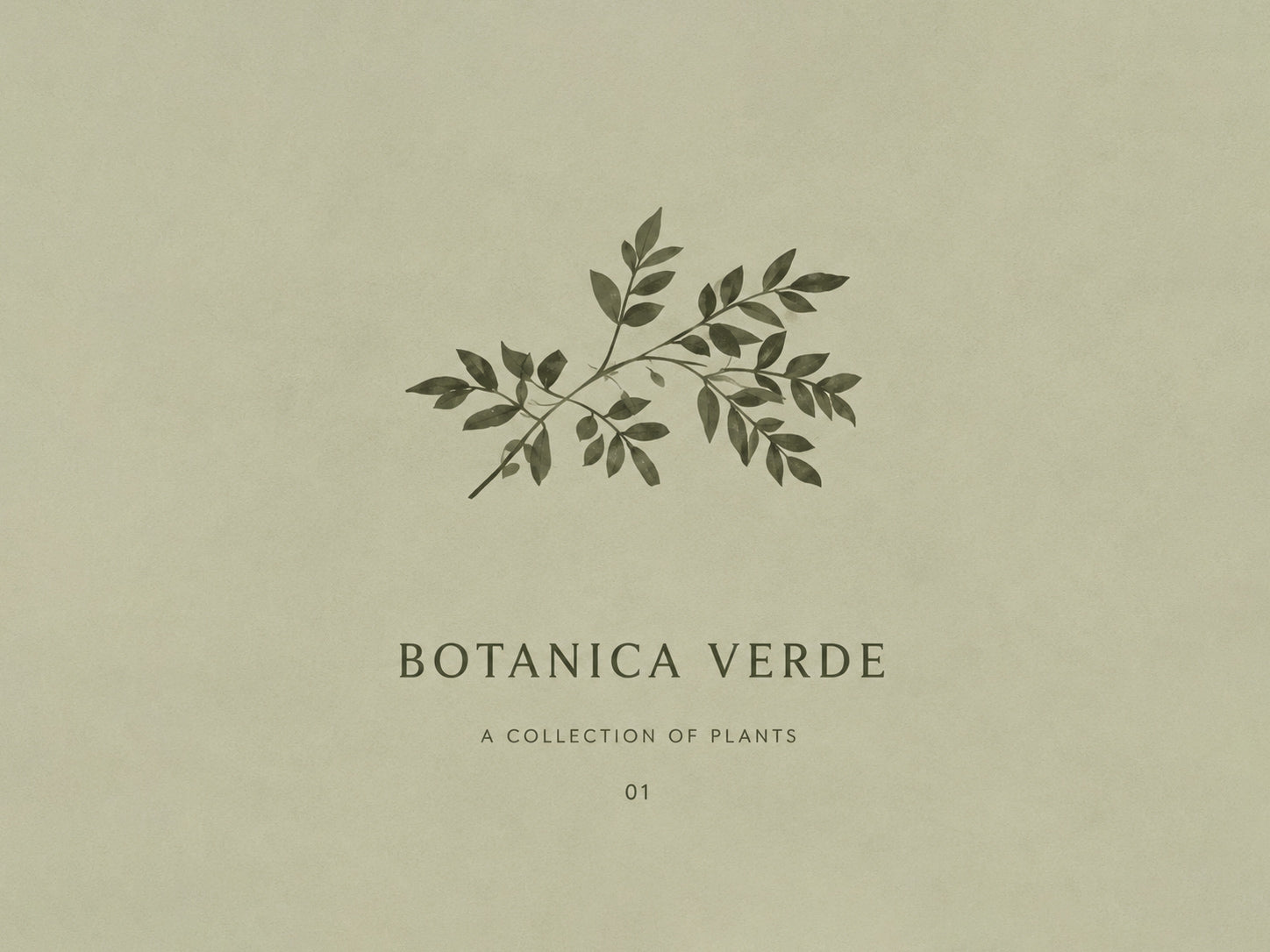 Botanica Verde Minimal Botanical Print