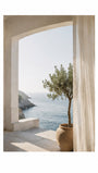 Mediterranean Sea View with Olive Tree