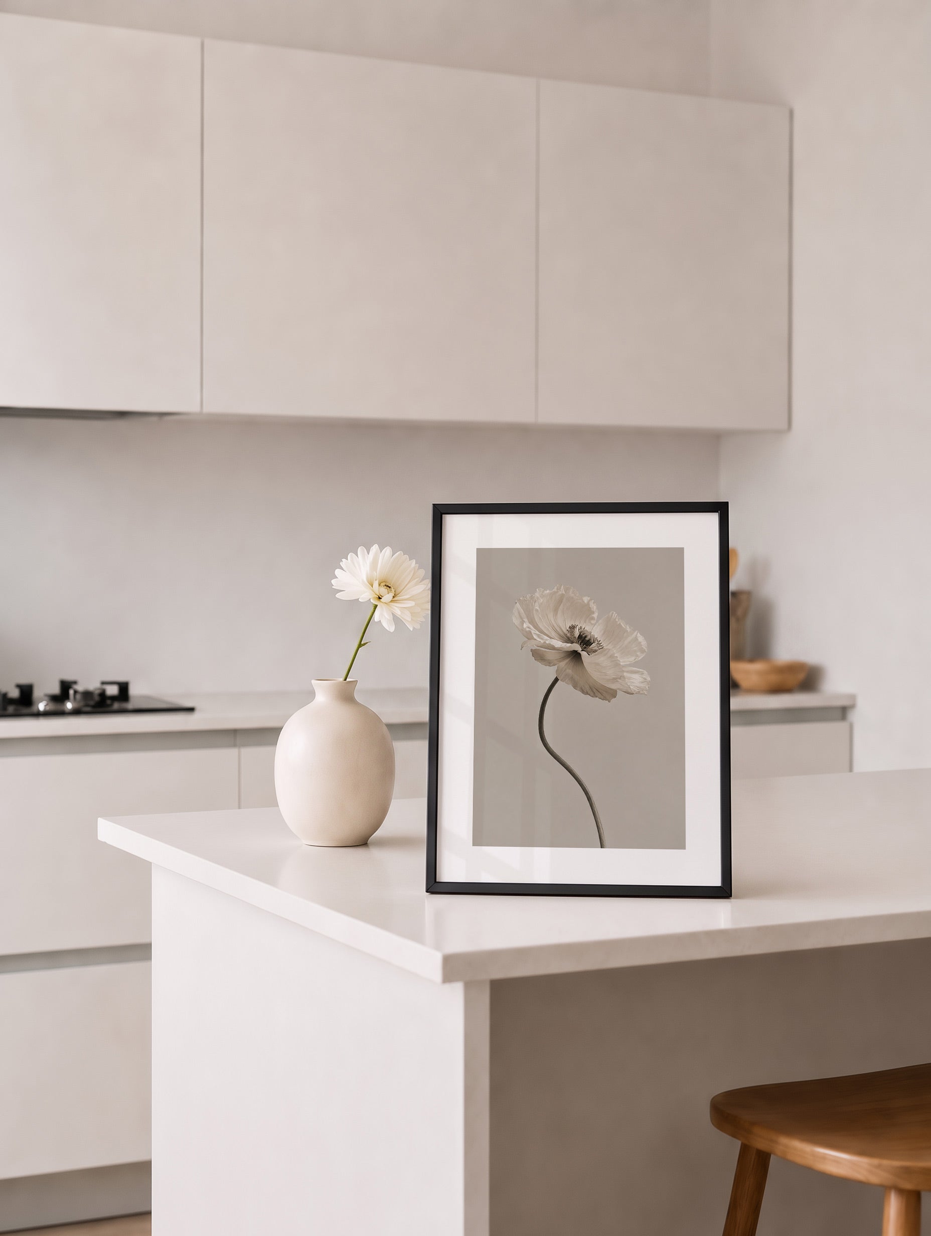 White Poppy Flower