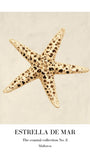 Merel Takken - Estrella de Mar Poster