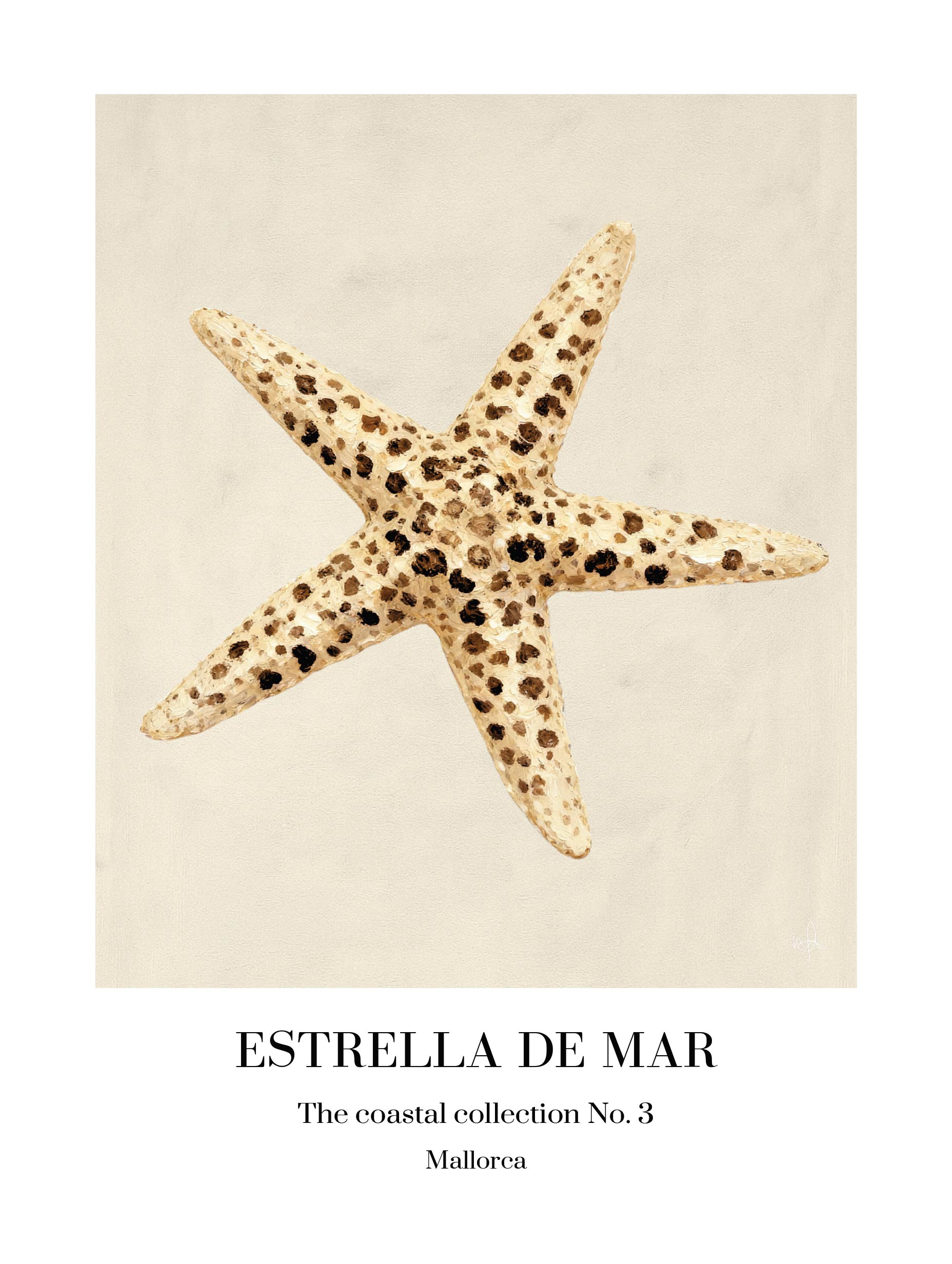 Merel Takken - Estrella de Mar Poster