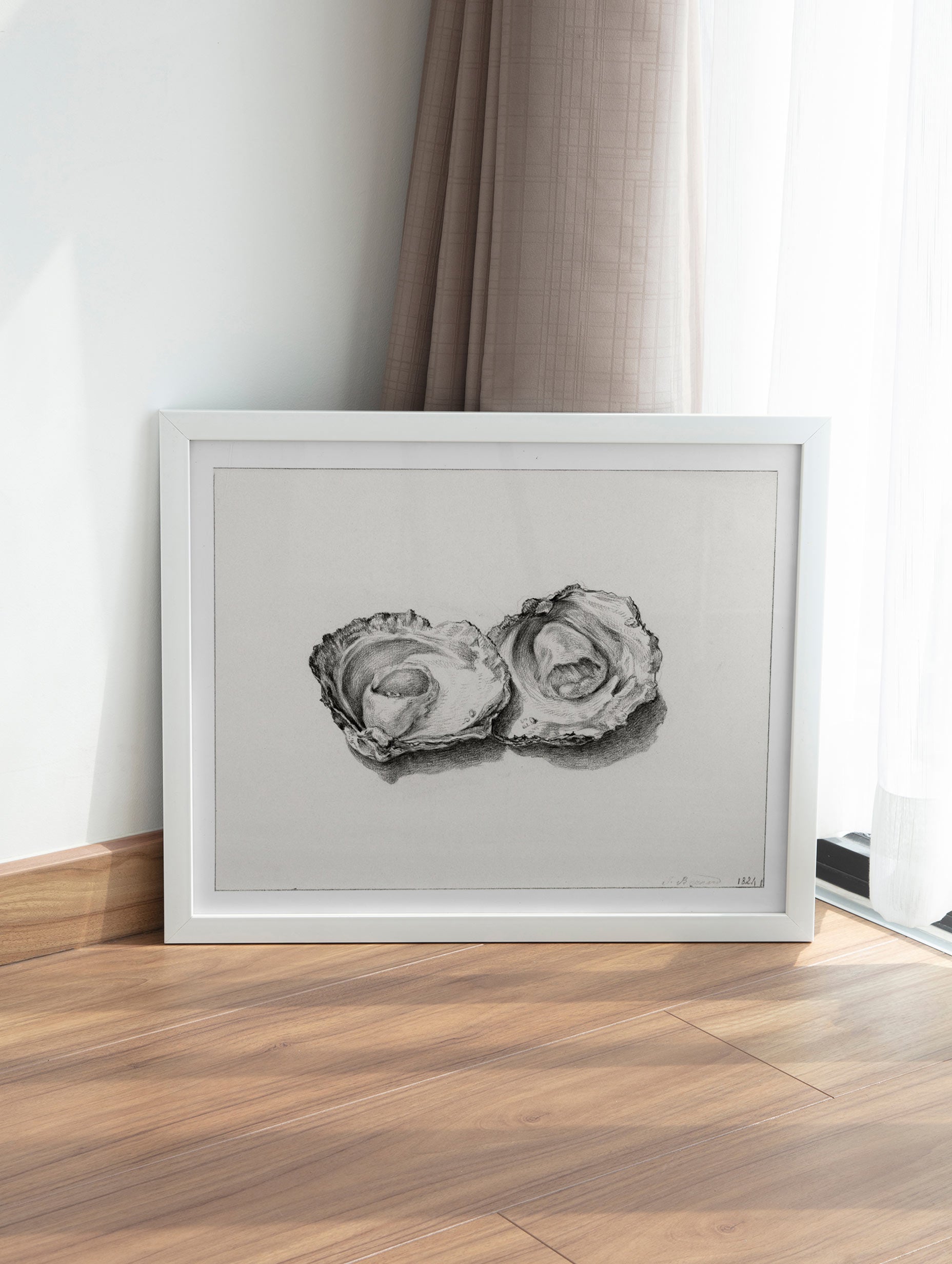 Two opened oysters - Jean Bernard Mockup