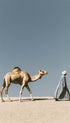 Bedouin and His Camel Vintage Poster