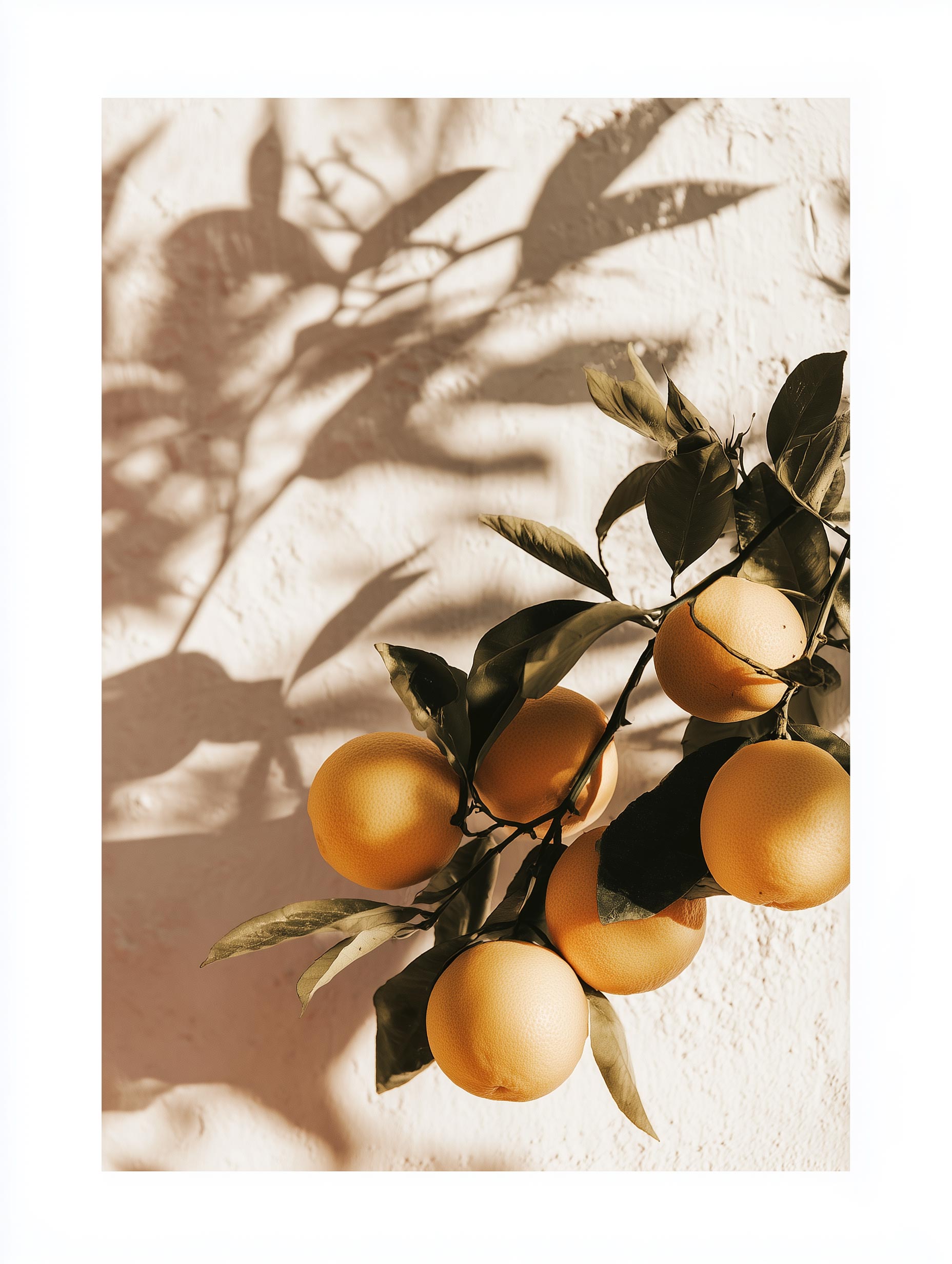Sunlit Lemons Branch Fruit Artwork