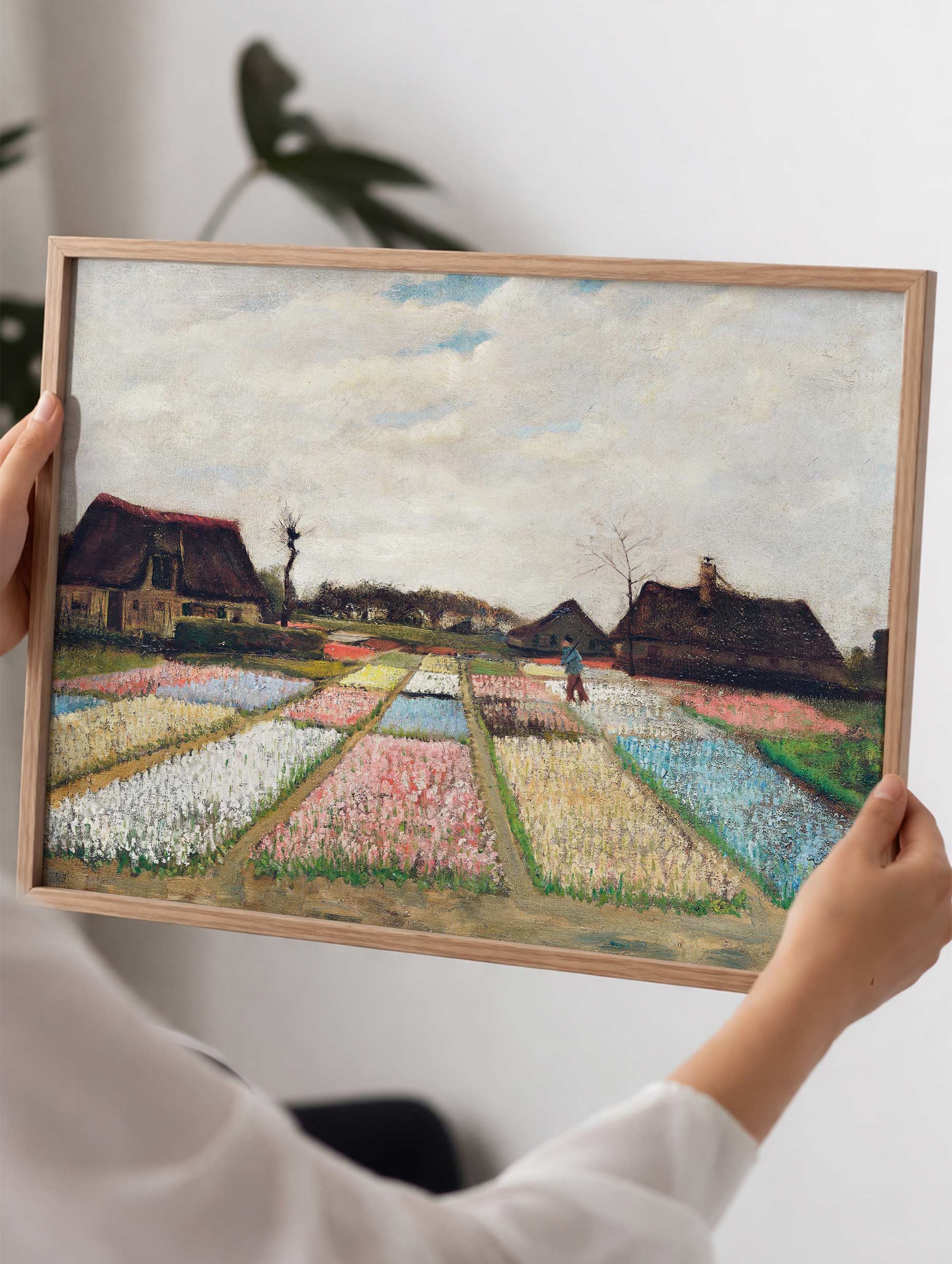 Lökfält - Van Gogh