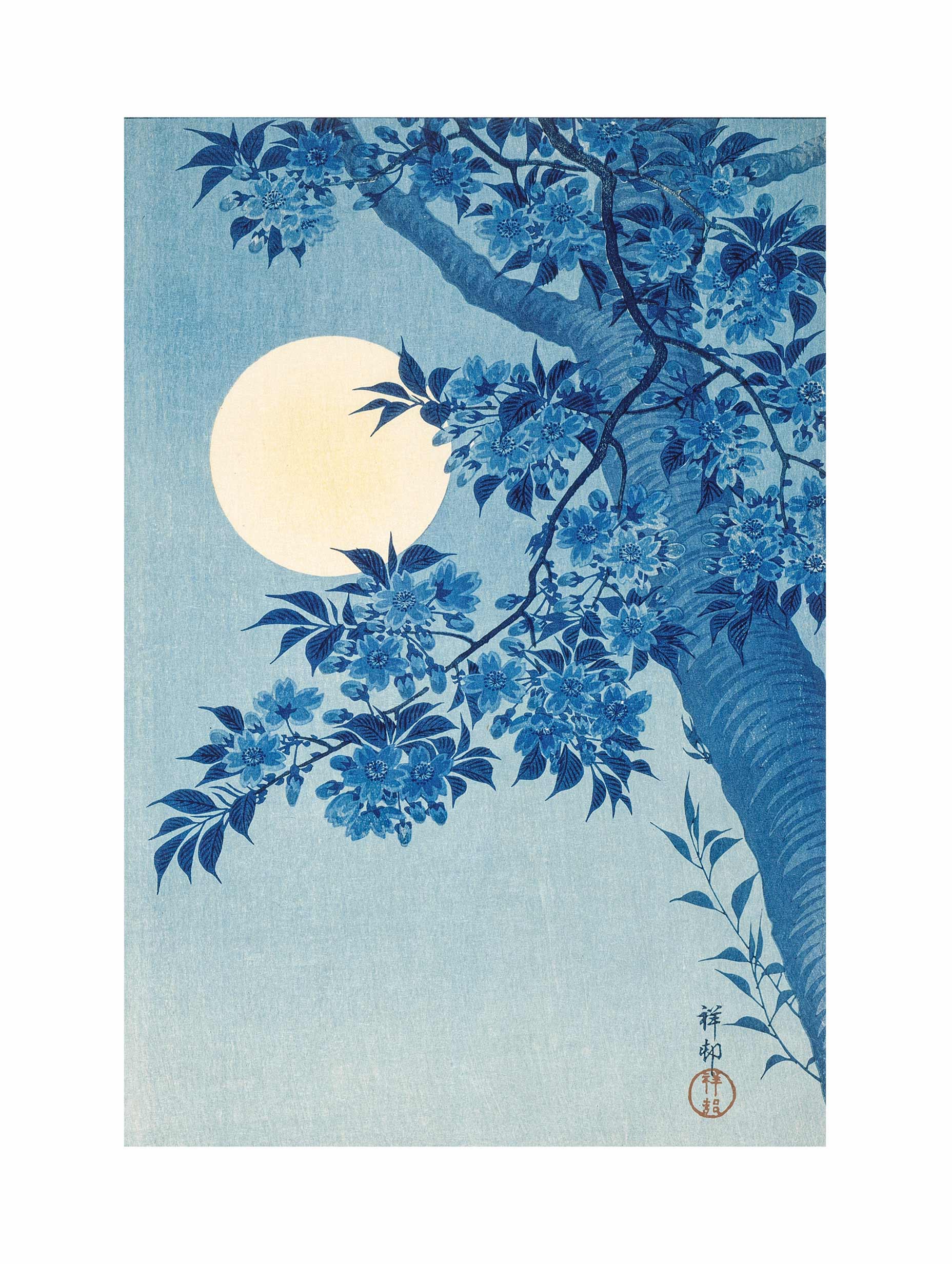 Blossoming Cherry on a Moonlit Night - Ohara Koson