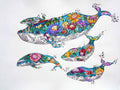 Linnea Pergola - Whale-Pod Poster