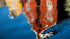 Amsterdam Canal Reflections Poster No. 5