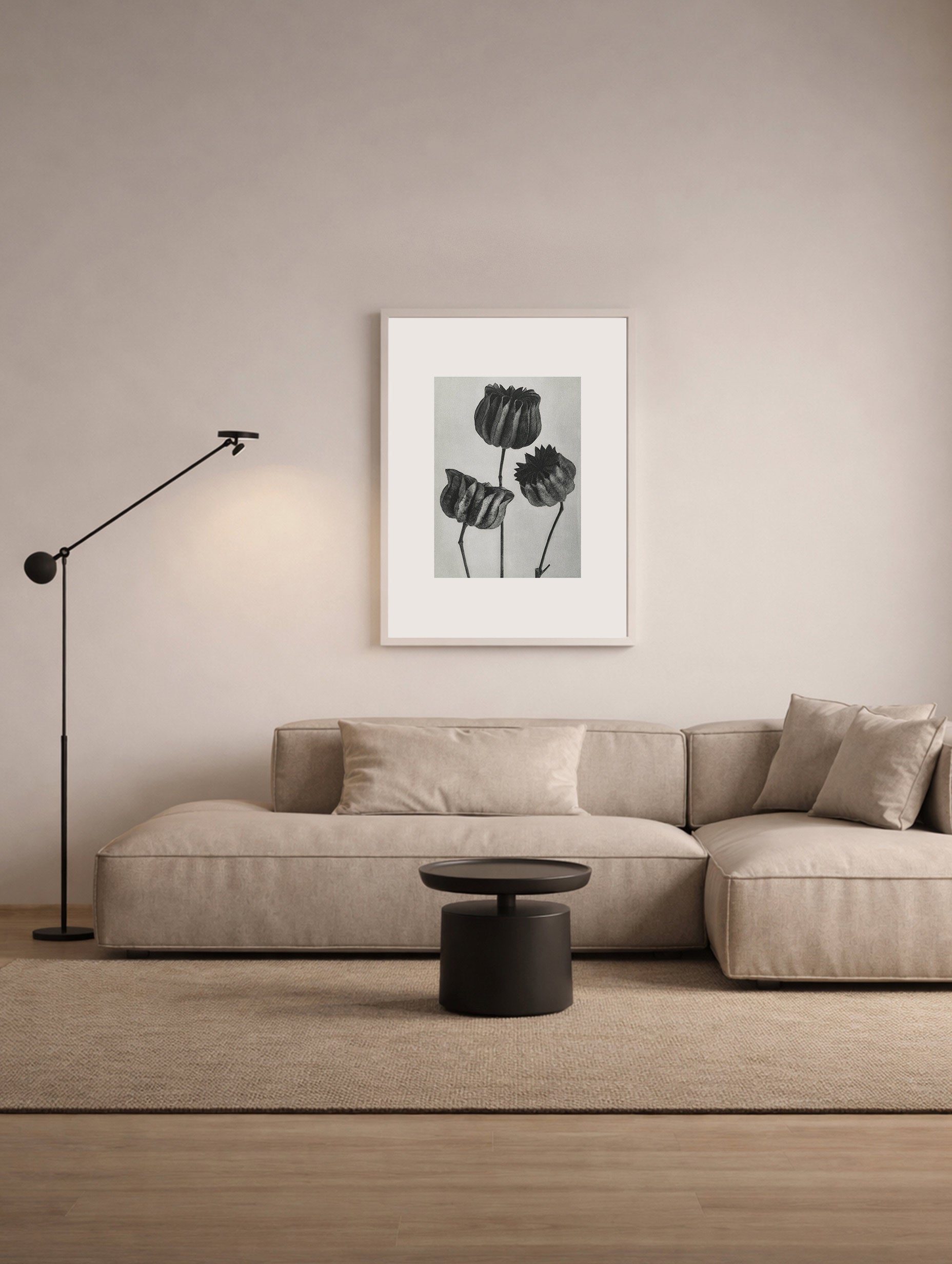 Abutilon Karl Blossfeldt Blomsterplakat
