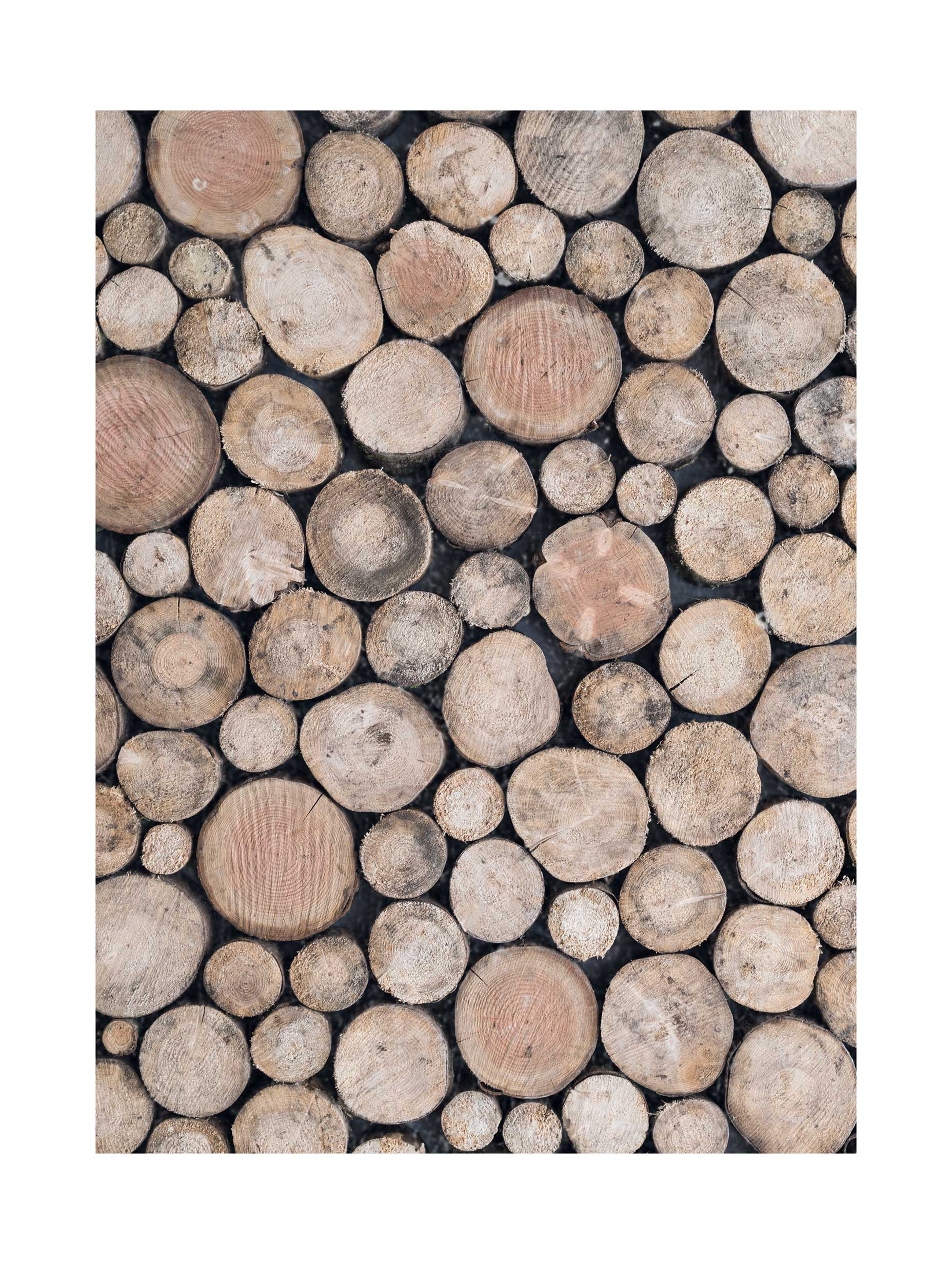 Wood Logs Abstract Poster