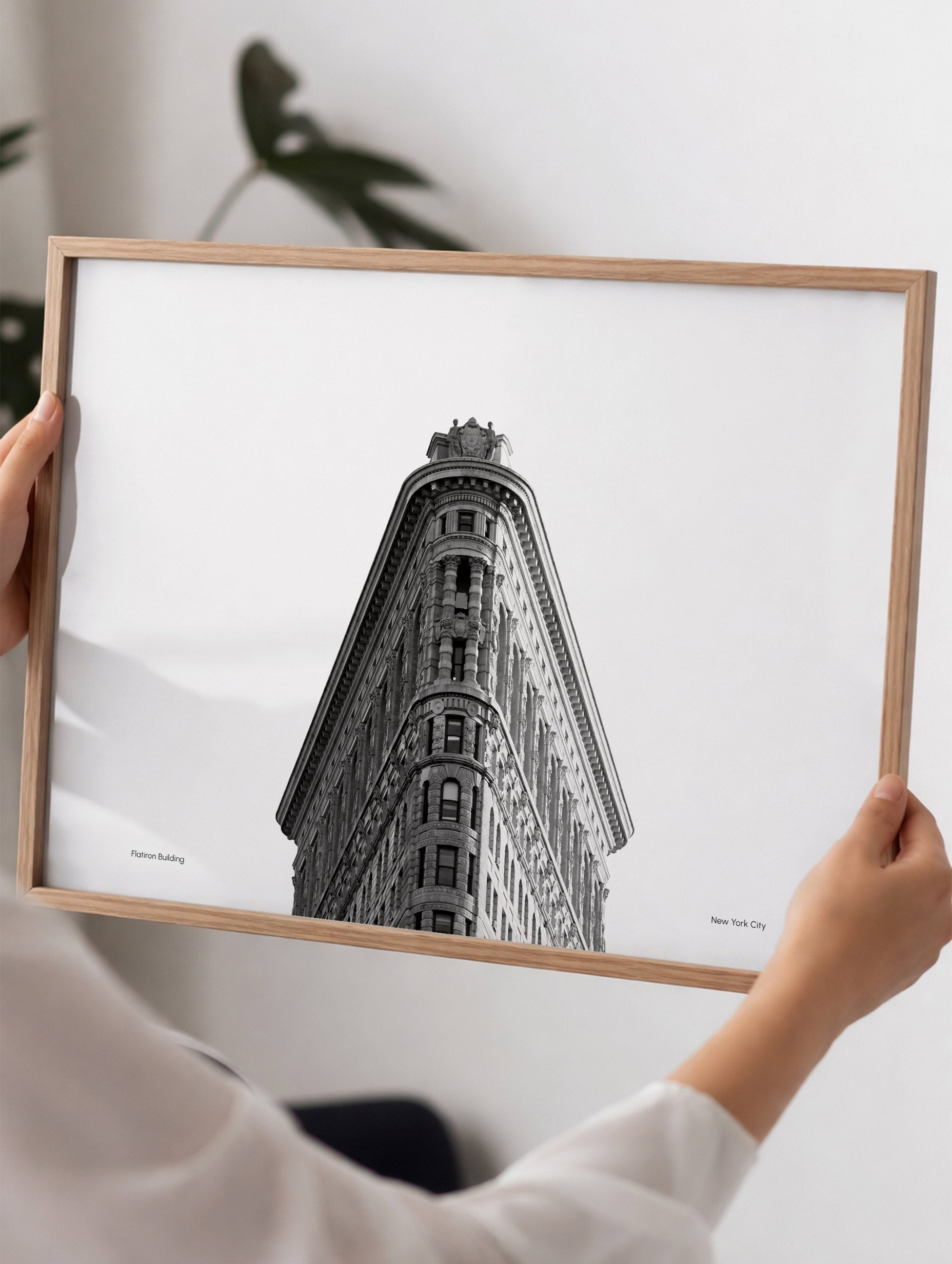 Flatironbygningen plakat