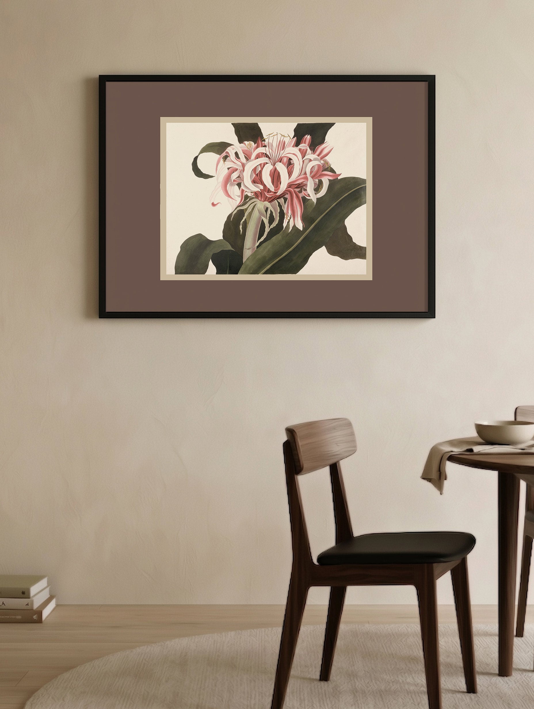 Crinum Augustum-plakat