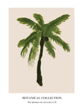 Santorini-plakat Arkitekturplakat
