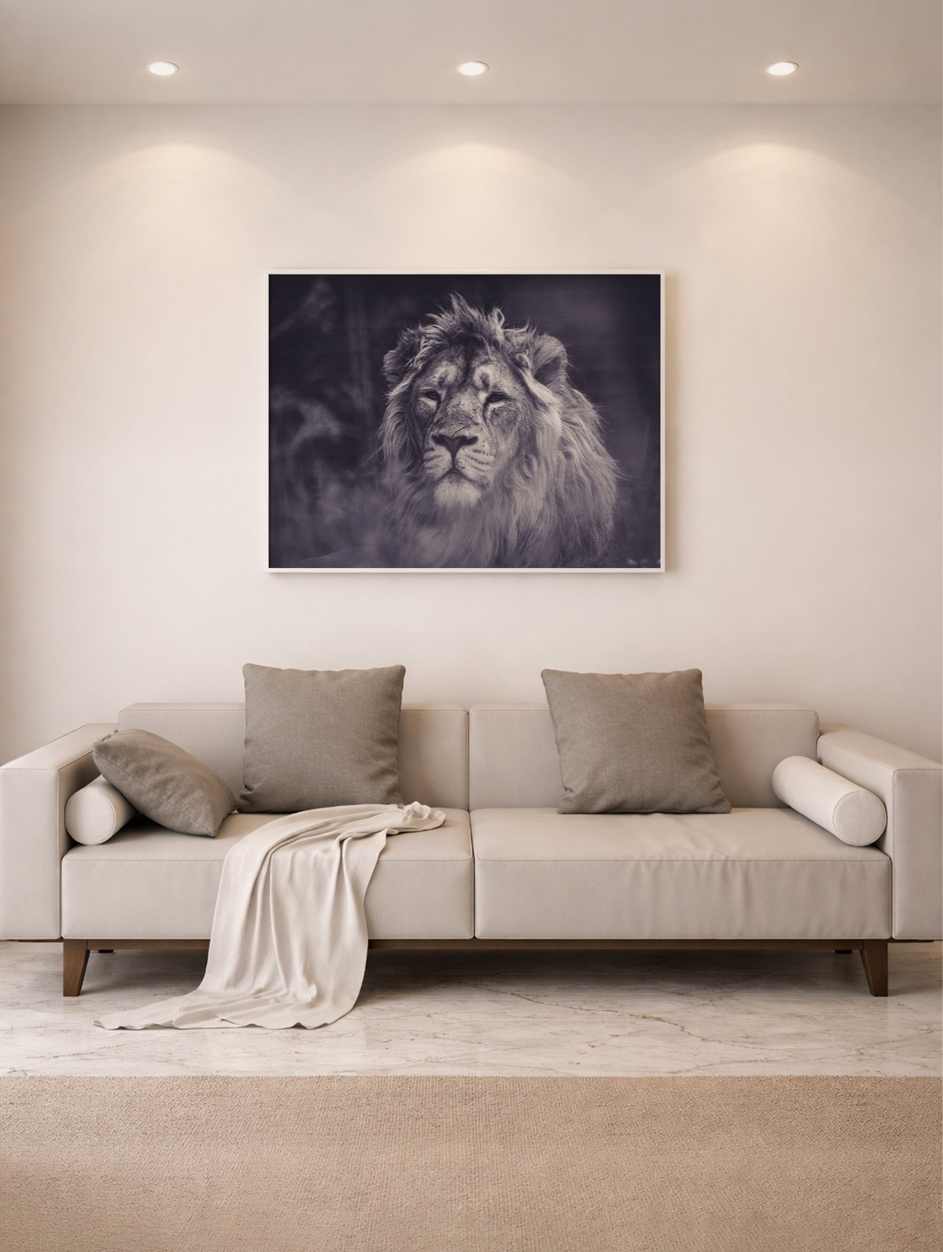 Grayscale Photography of Lion Animal Poster