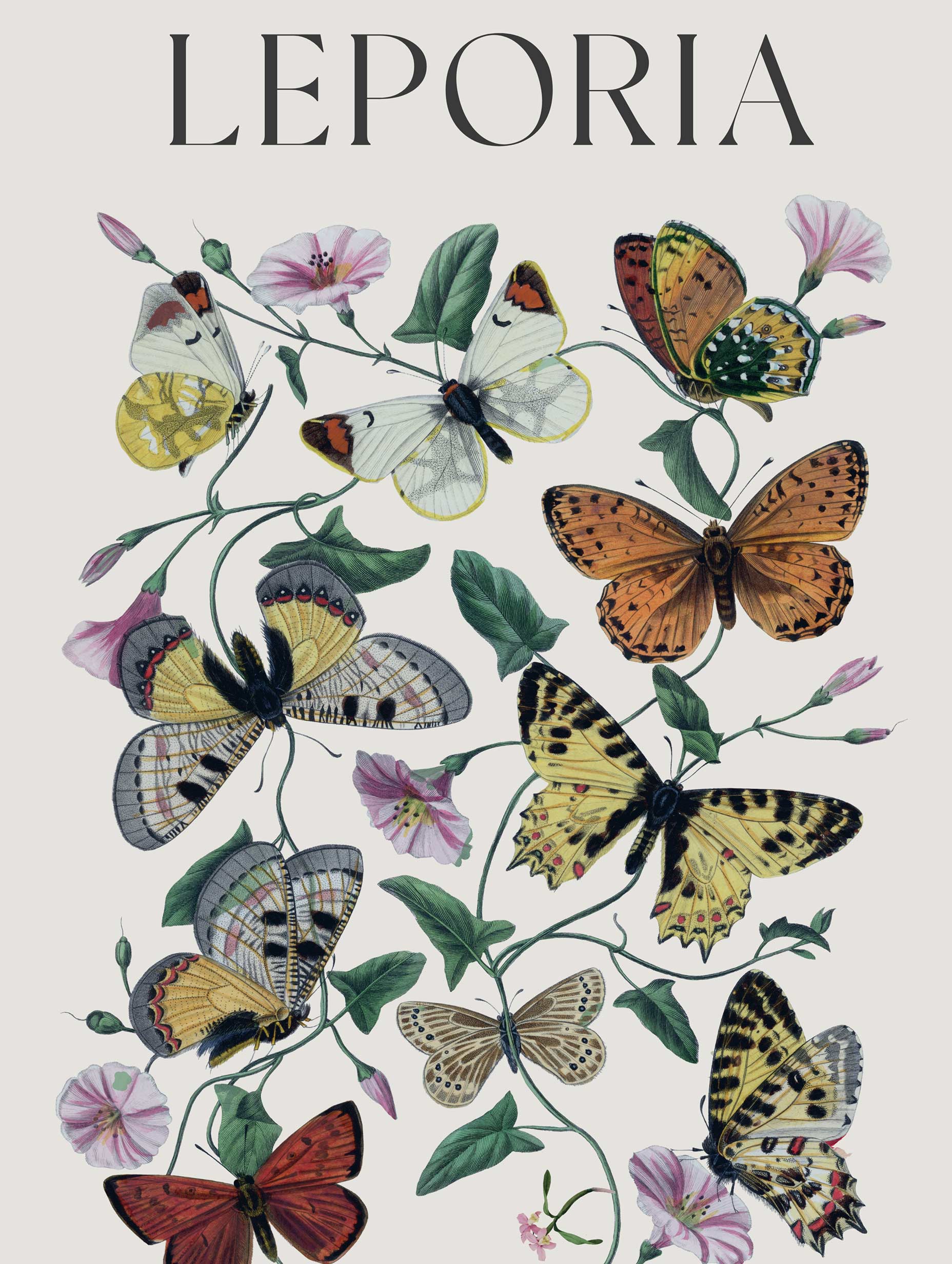 Leporia - Paul Gervais