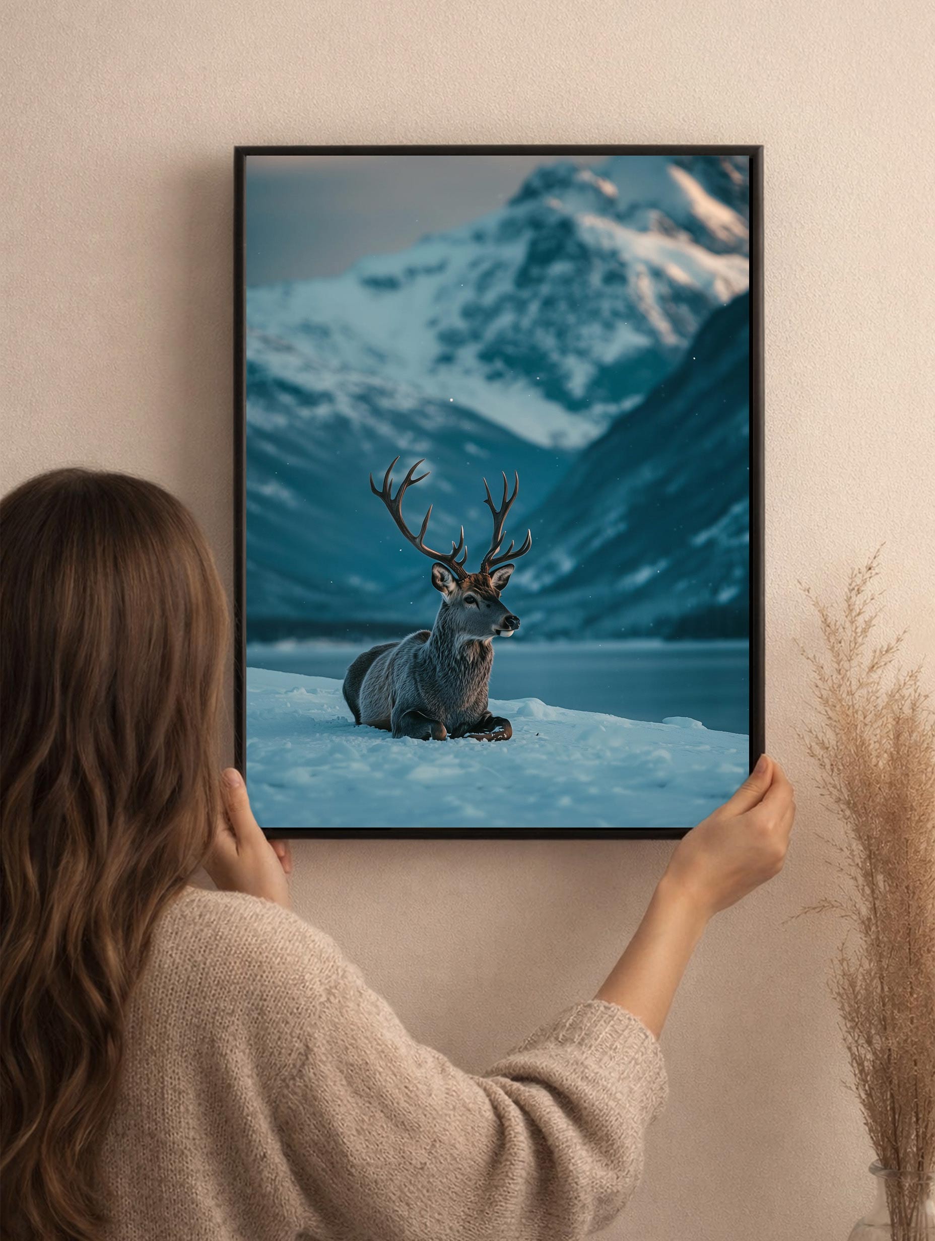 Plakat: Reinsdyrfotografering