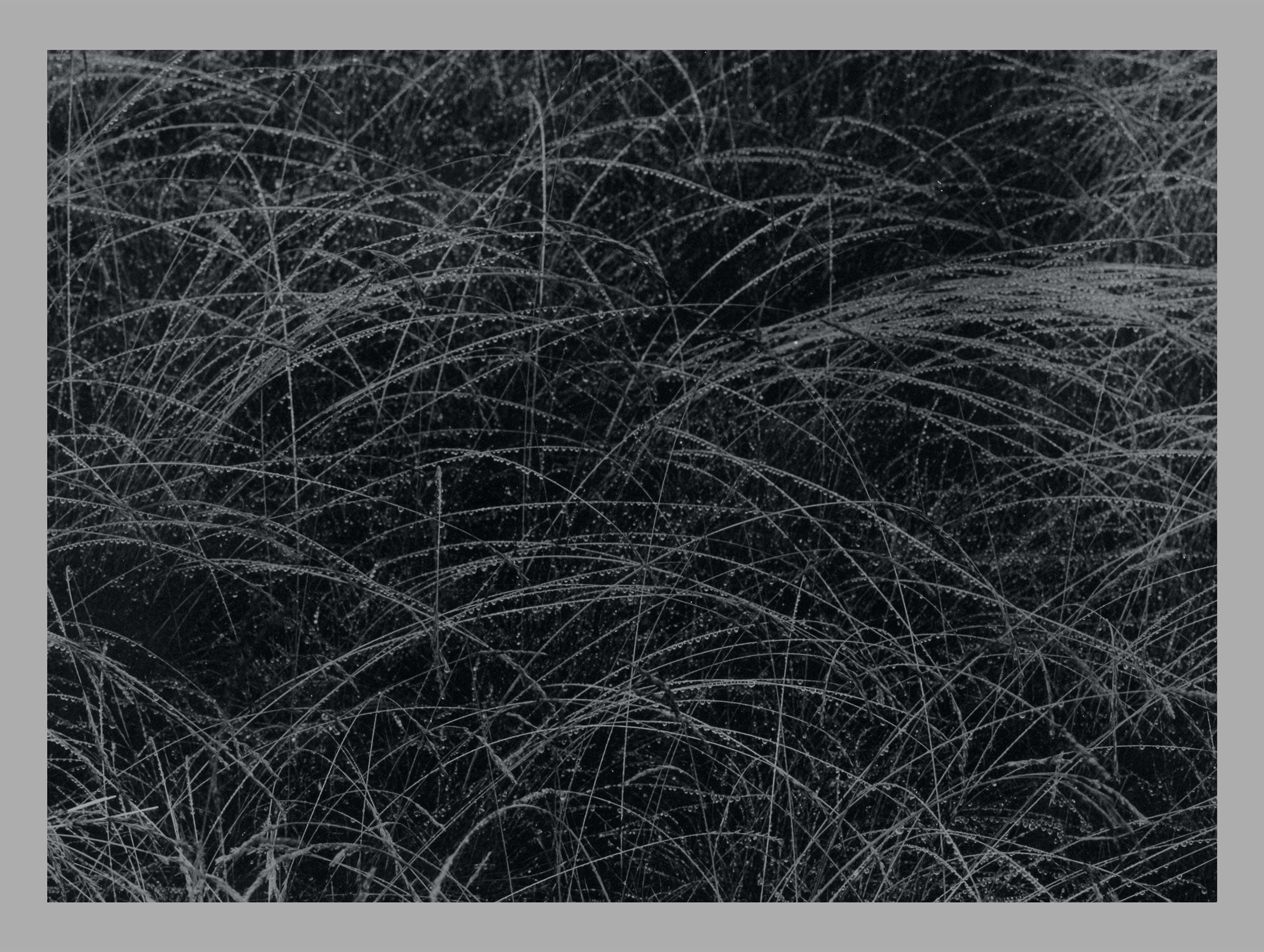 Rain Drops Alfred Stieglitz Art Print No 1