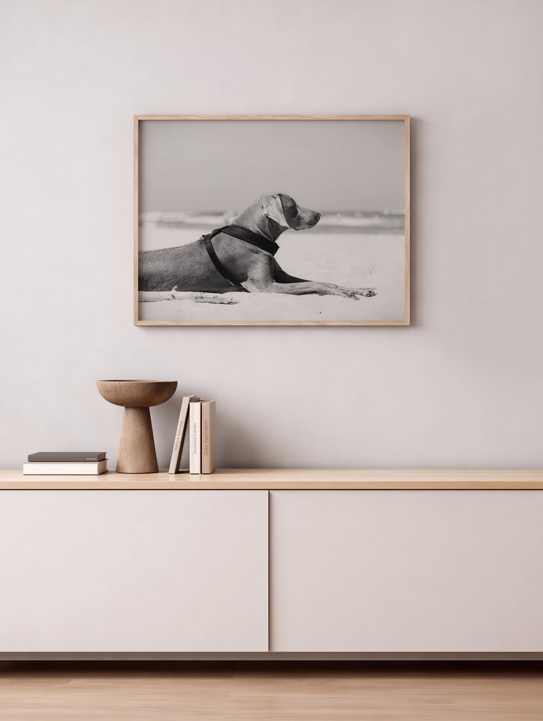Weimaraner Dog Lying on a Beach Poster