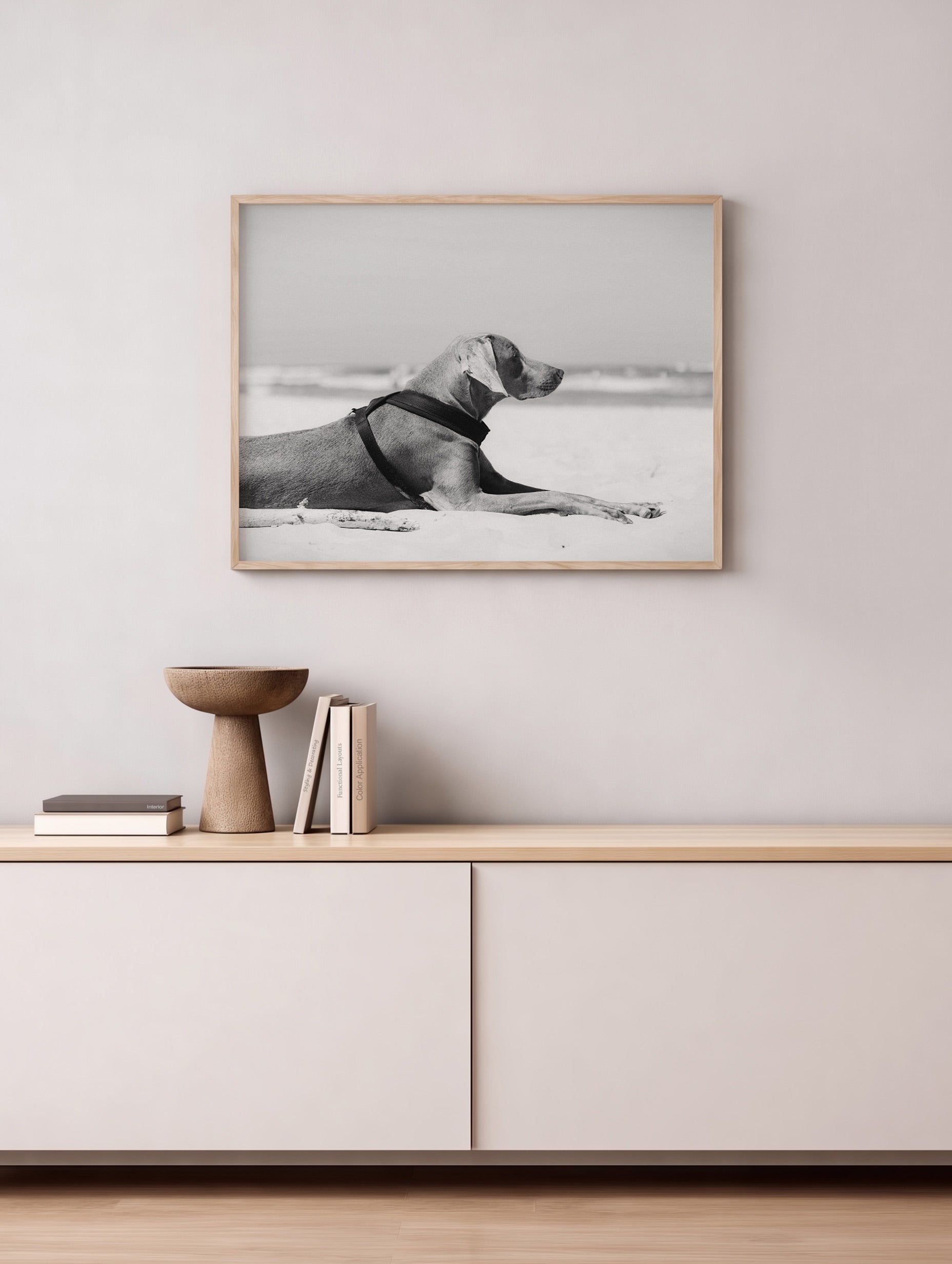 Weimaraner hund liggande på en strandposter