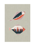 Alexendra Weise - Midcentury Modern Fish Poster