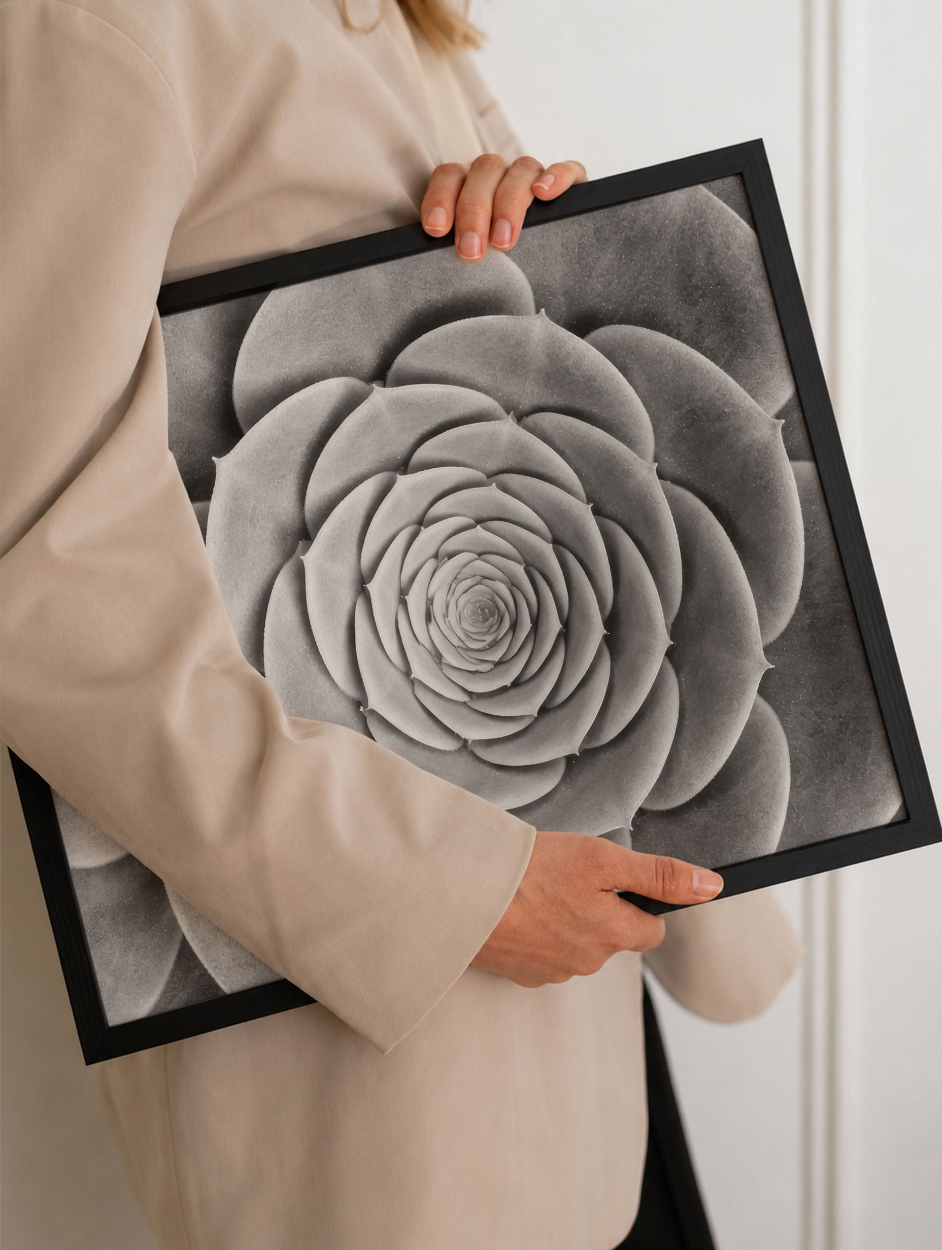 Succulent - Michael Haber