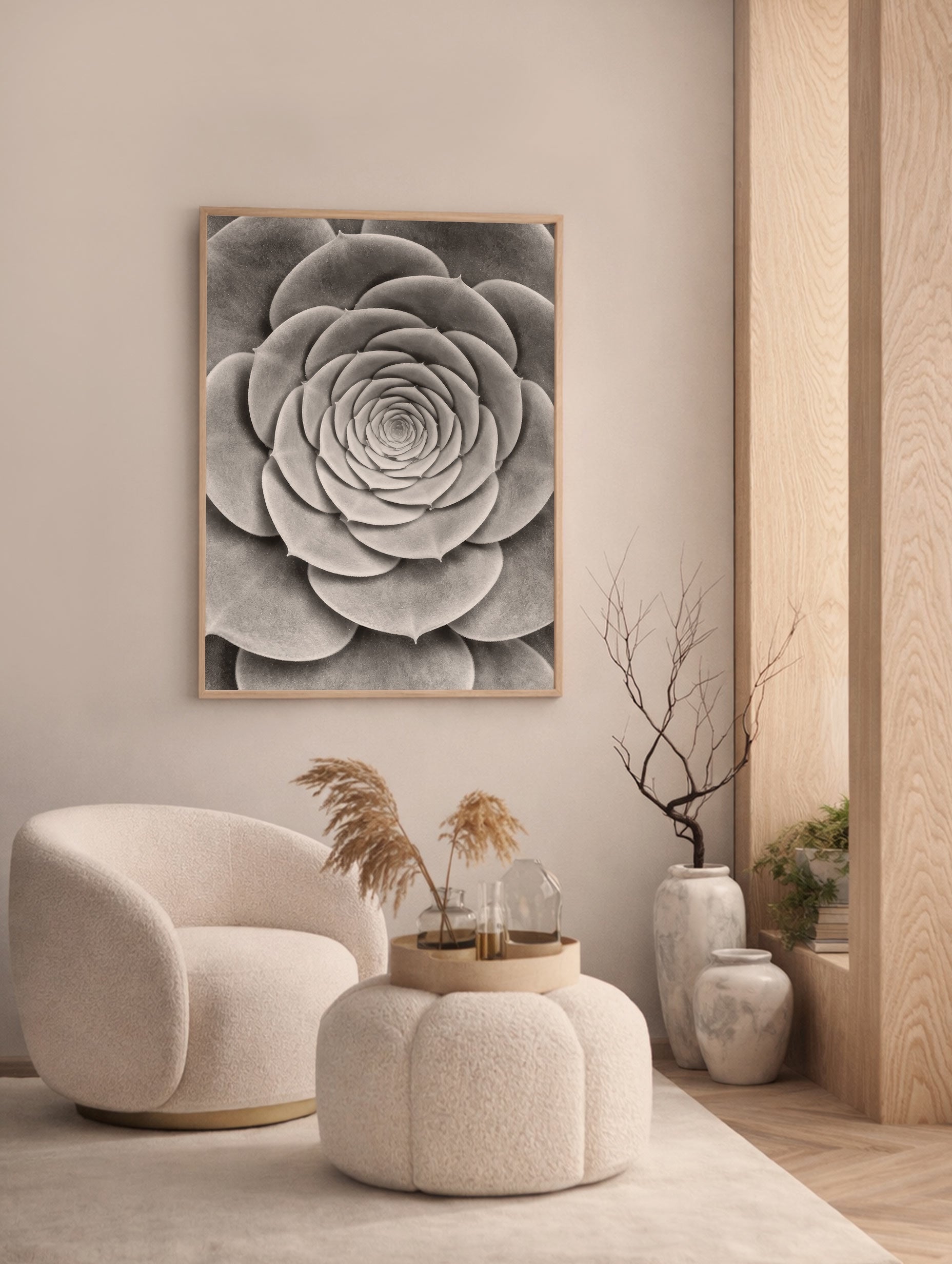 Succulent - Michael Haber
