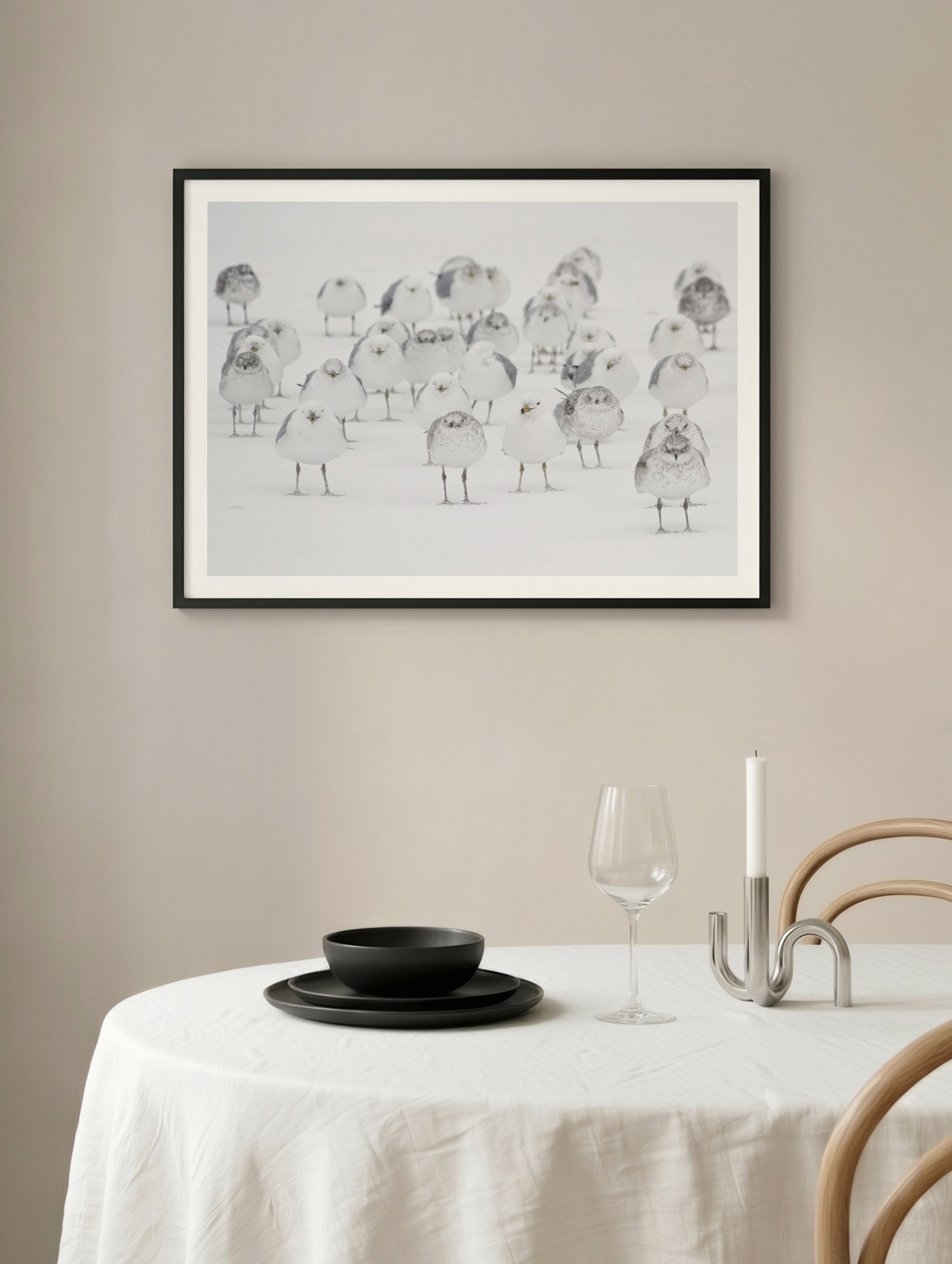 White Birds in the Snow Poster