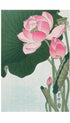 Blooming Lotus Flowers - Ohara Koson