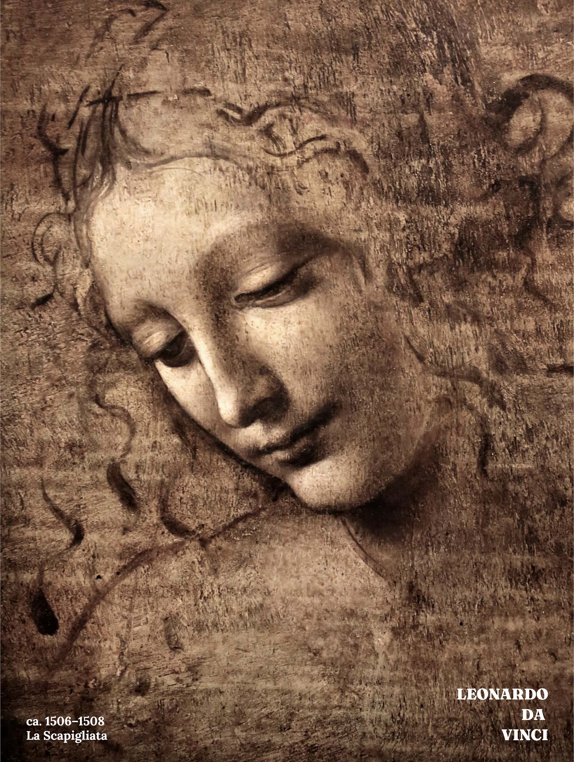 La Scapigliata Leonardo Da Vinci Art Print