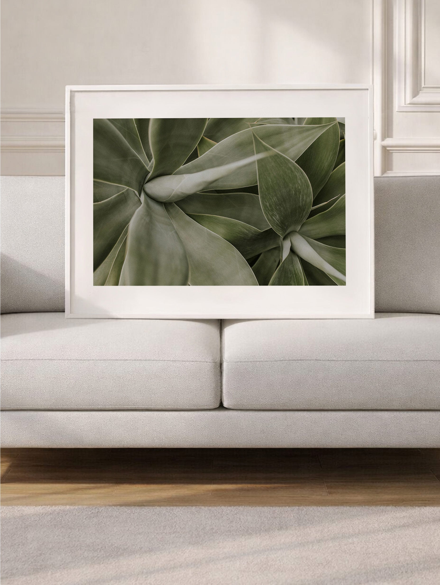 Agave-plakat