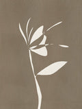 Grön Inredning Stilleben – Henri Matisse