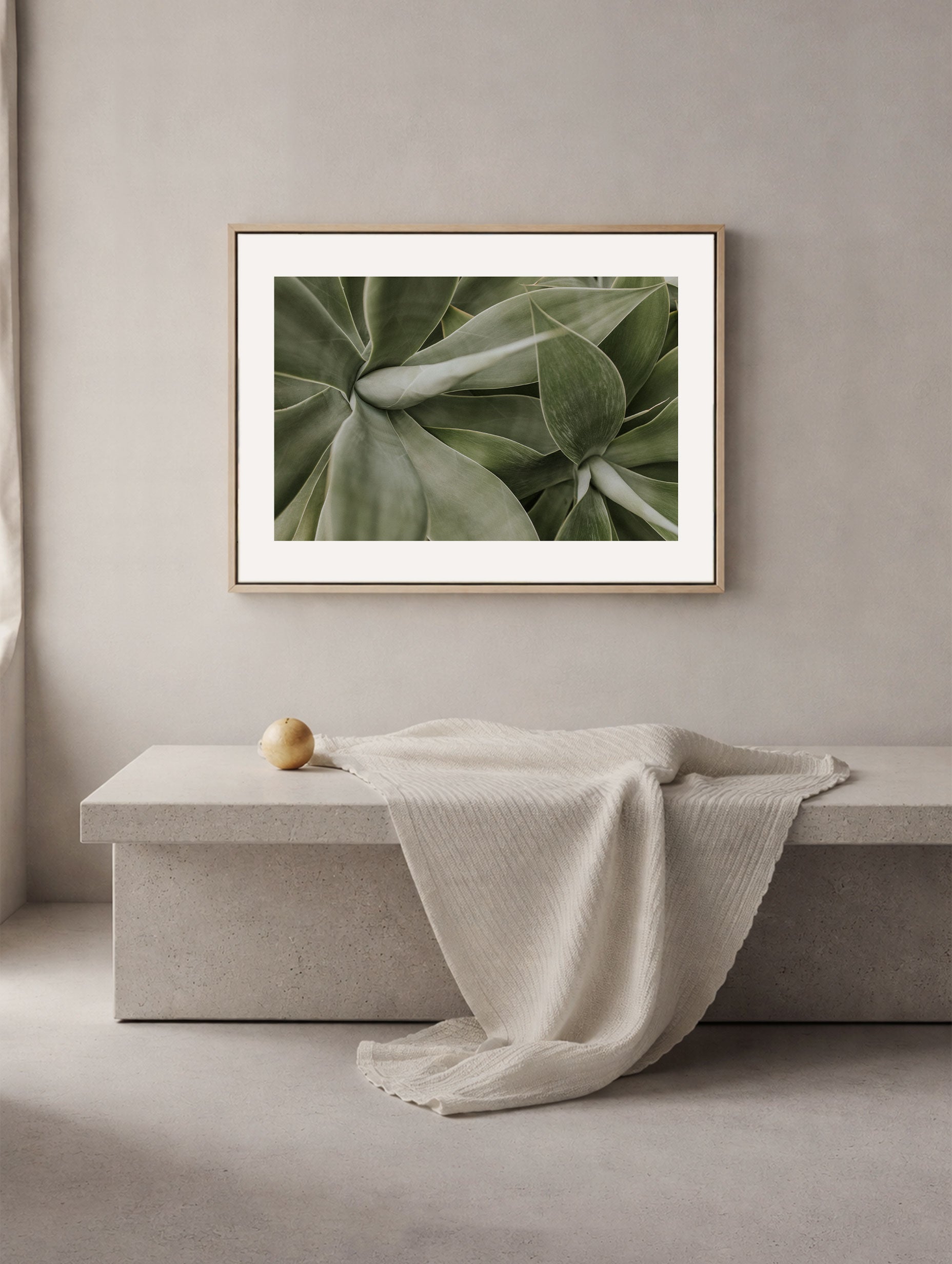 Agave Botanical Poster Mockup 