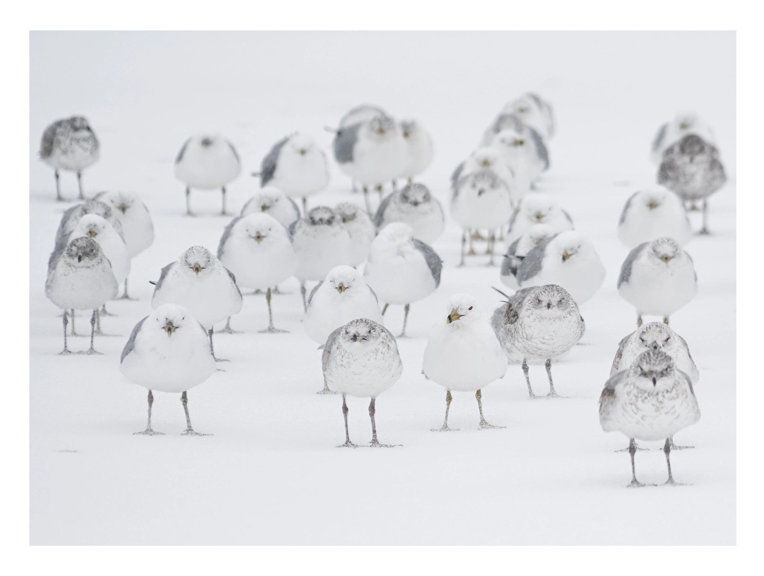 Första huset i en bosättning abstrakt konsttryck
