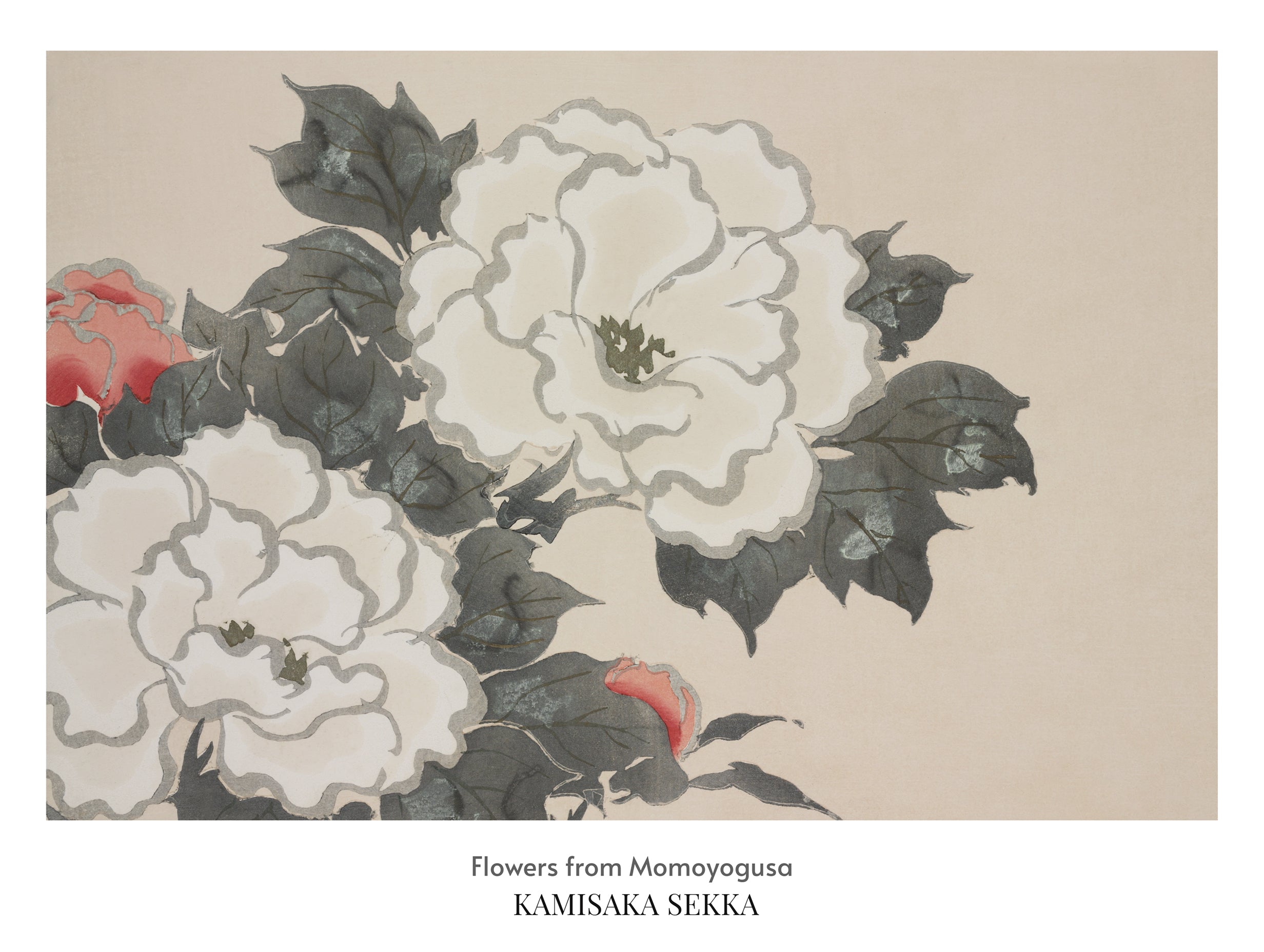 Kunsttrykk av blomster fra Momoyogusa Kamisaka Sekka