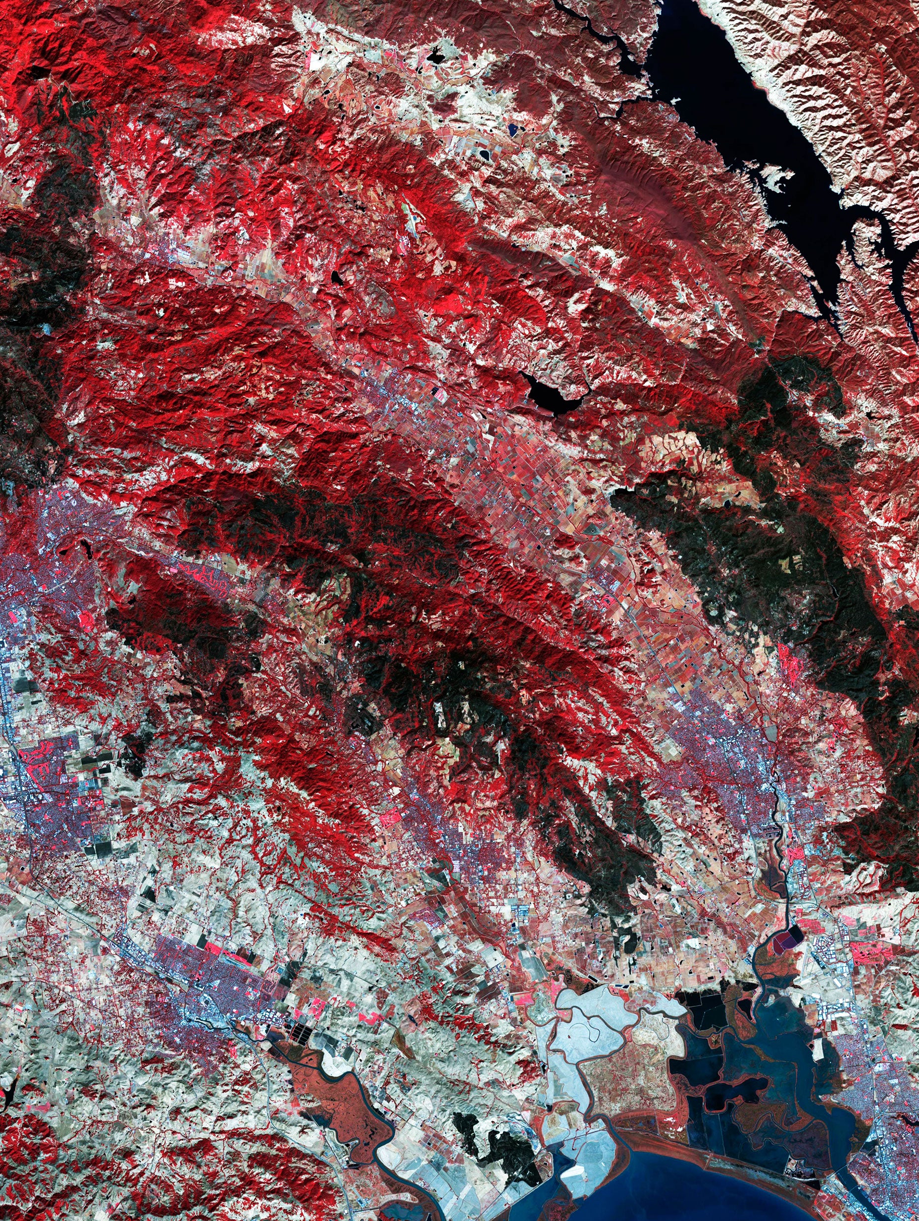 Burn Scars on California's Wine Country Abstract Art Print