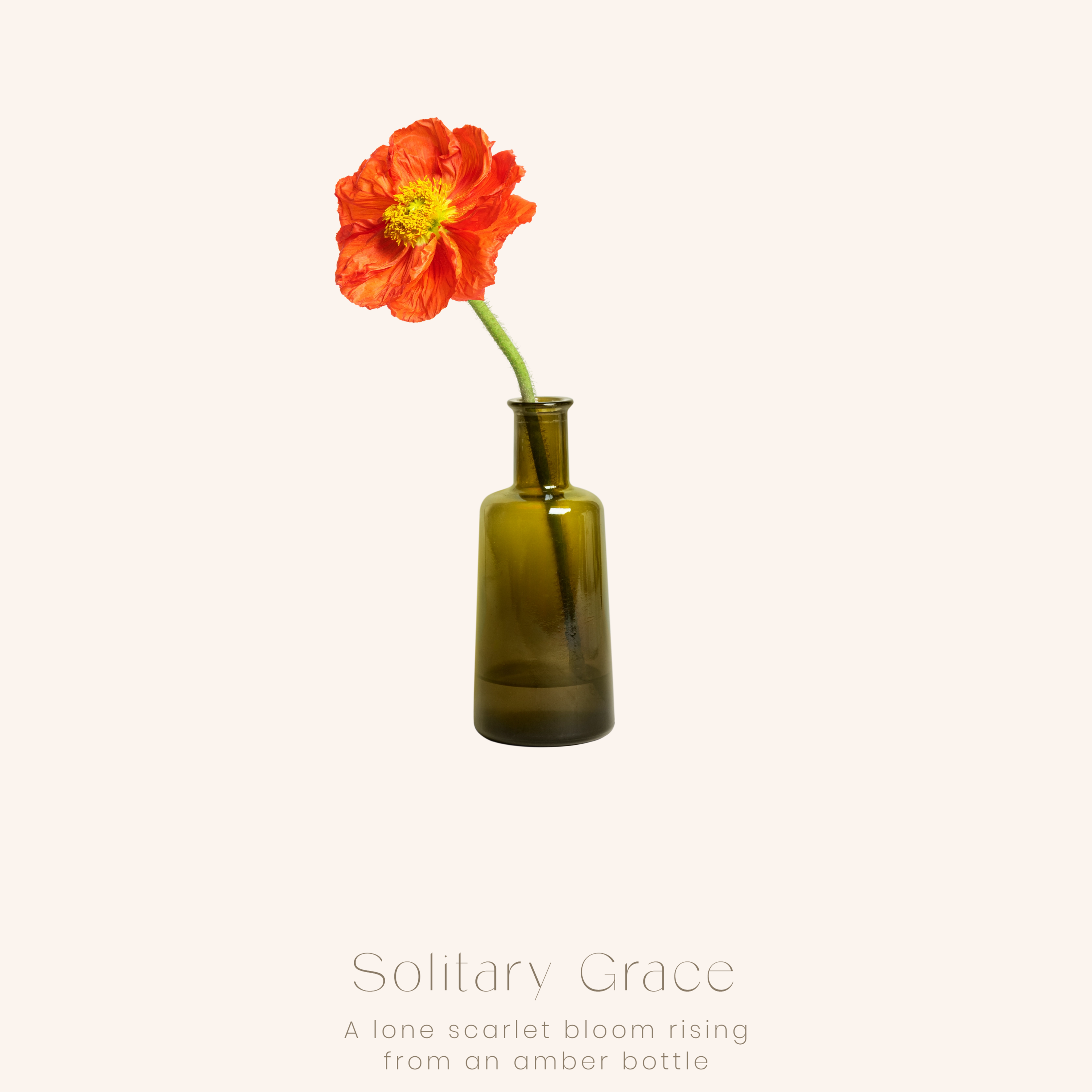 Solitary Grace Minimal Flower Poster