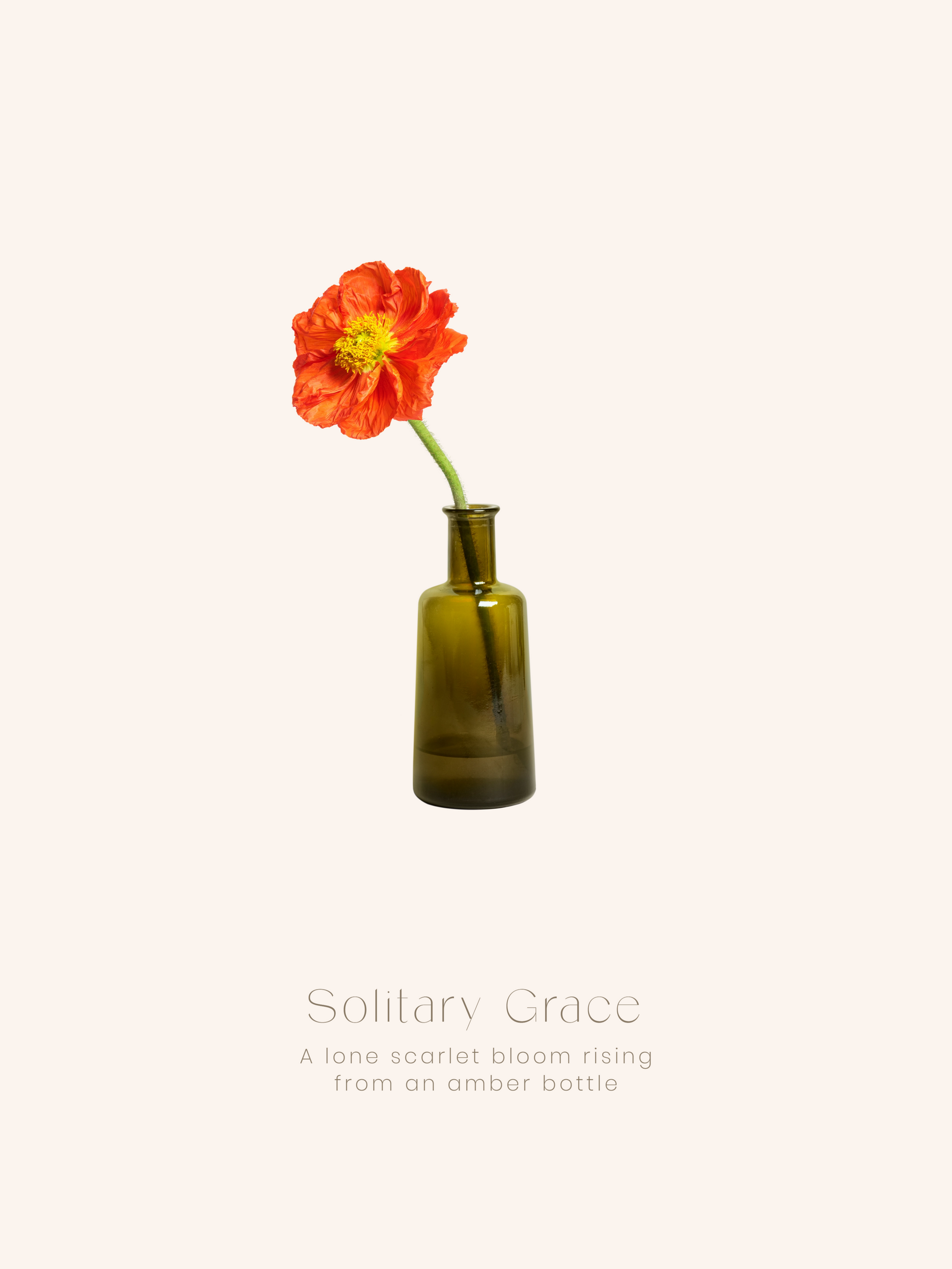 Solitary Grace Minimal Flower Poster