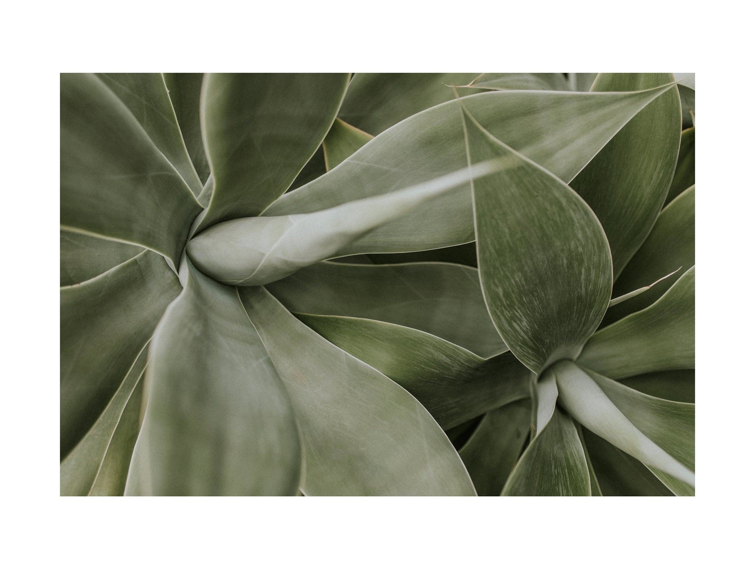 Första huset i en bosättning abstrakt konsttryck