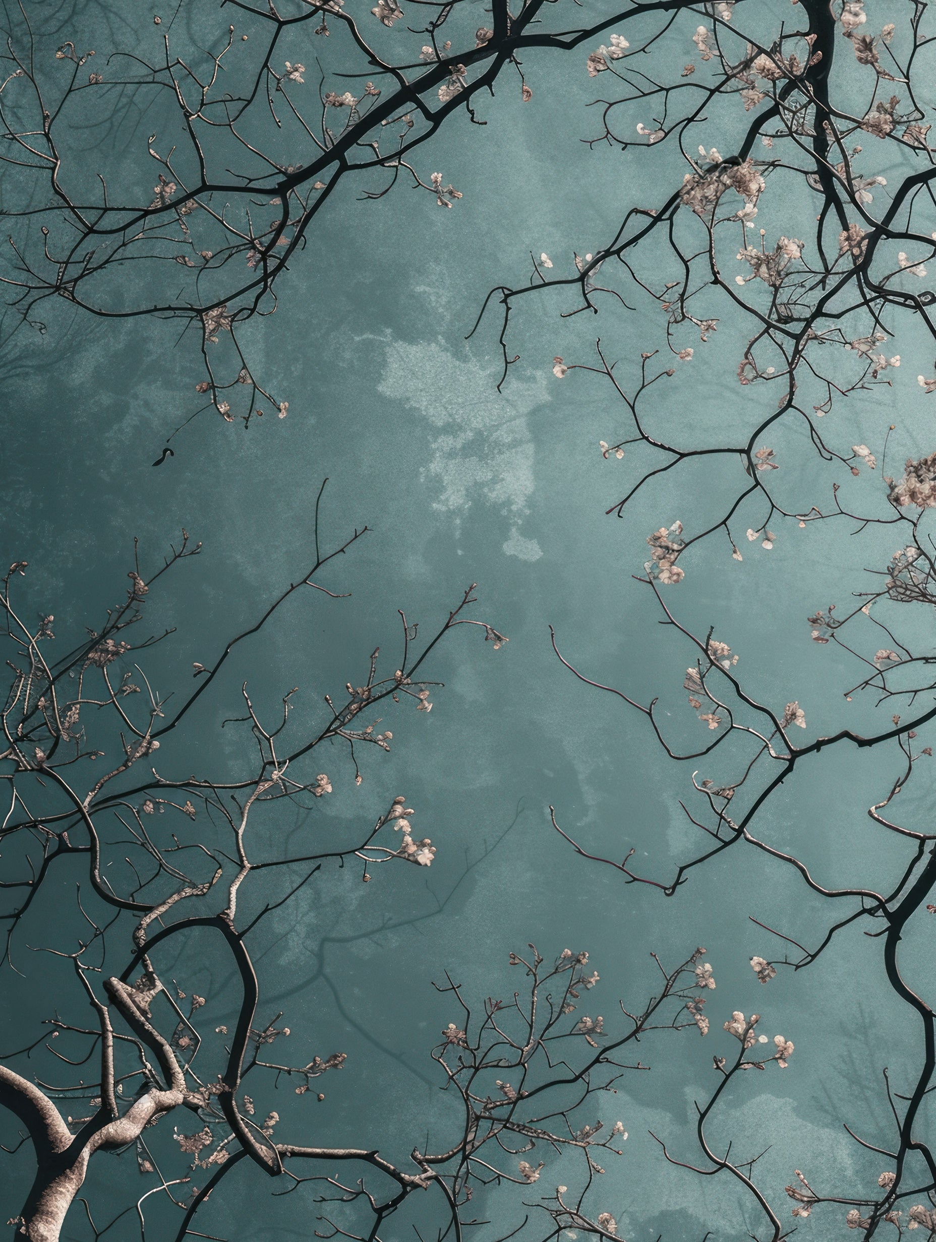 A Tree with Pink Flowers in the Sky Botanical Poster