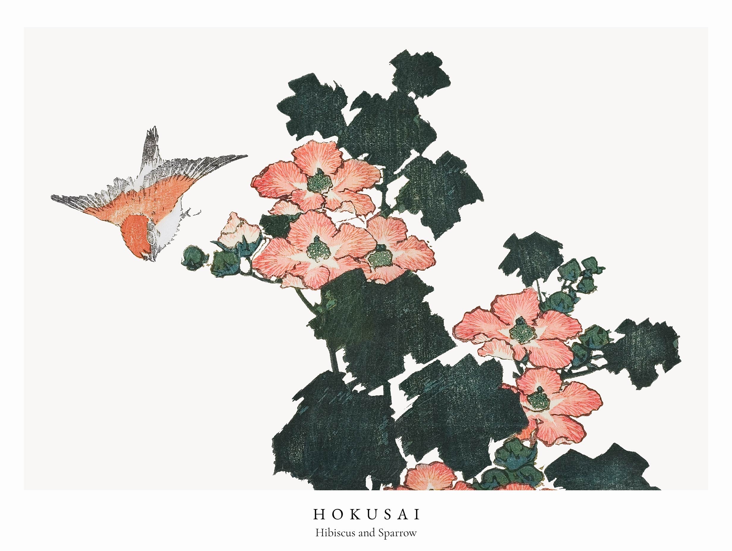 Hibiscus and Sparrow - Hokusai