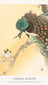 Peacock on a Cherry Blossom Tree - Ohara Koson