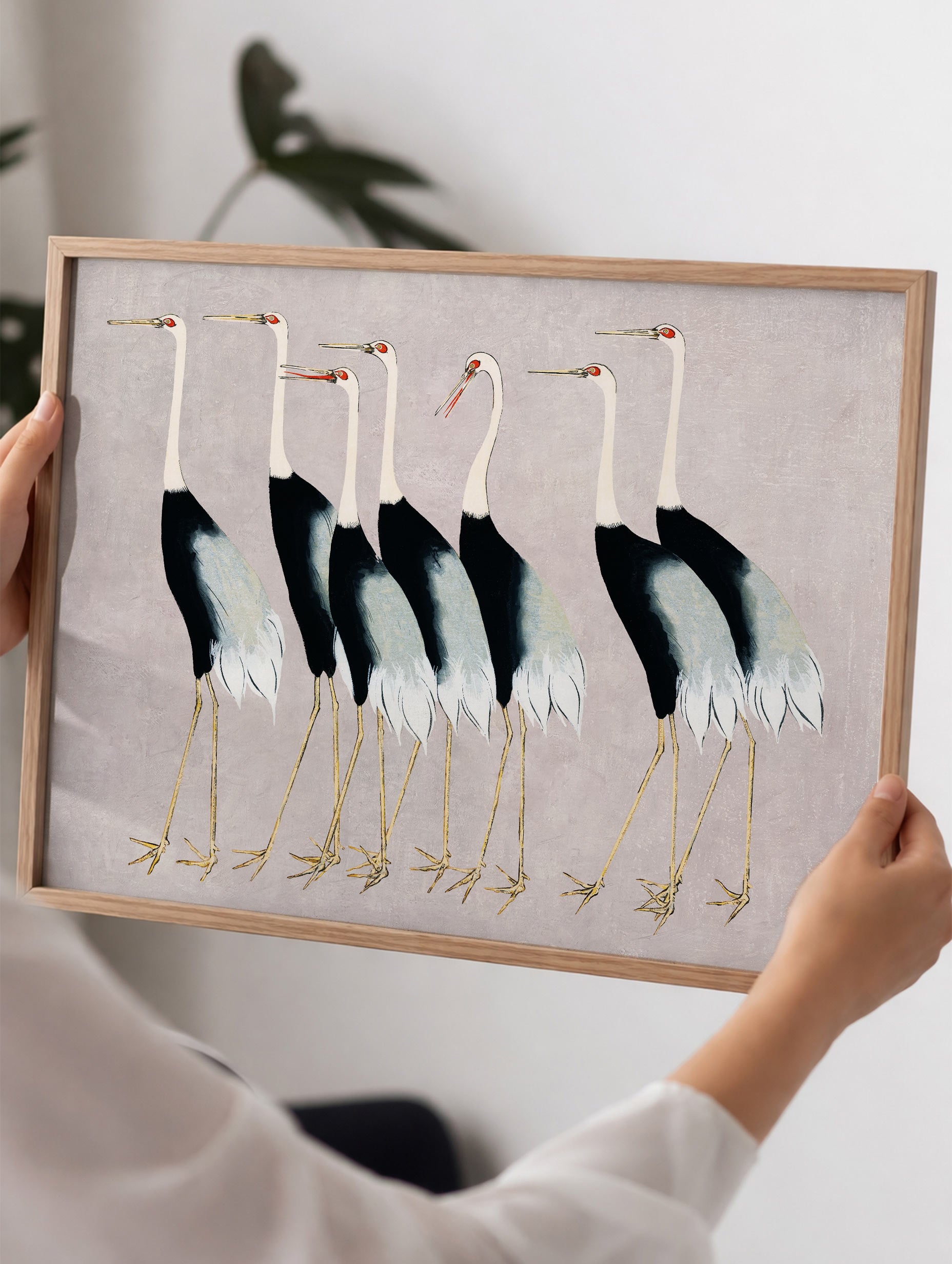 Flock japanska rödkrontranor - Ogata Kōrin