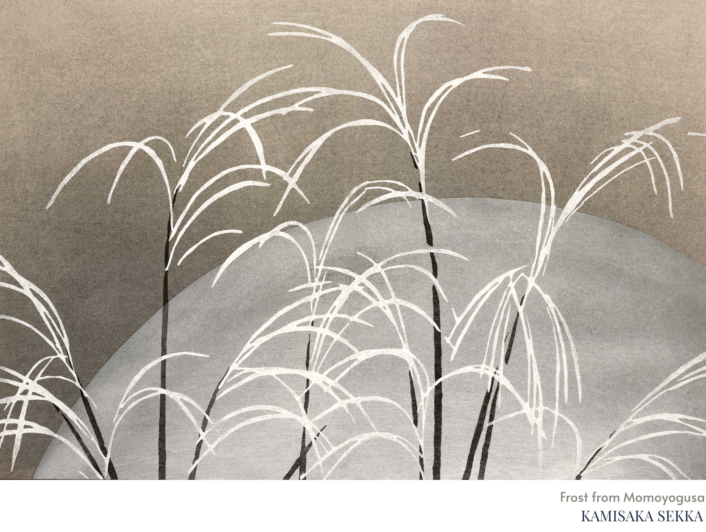 Frost from Momoyogusa Kamisaka Sekka Art Print