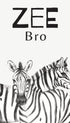 Zee Bro Zebras Poster